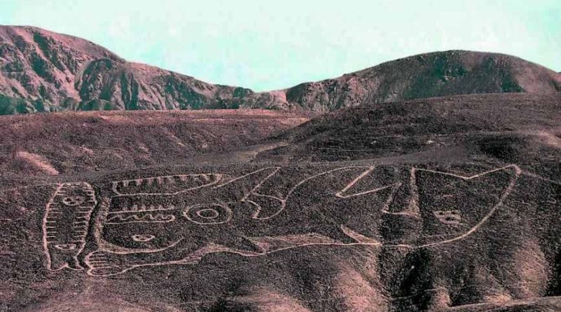 Nazca překvapila svět obří kosatkou