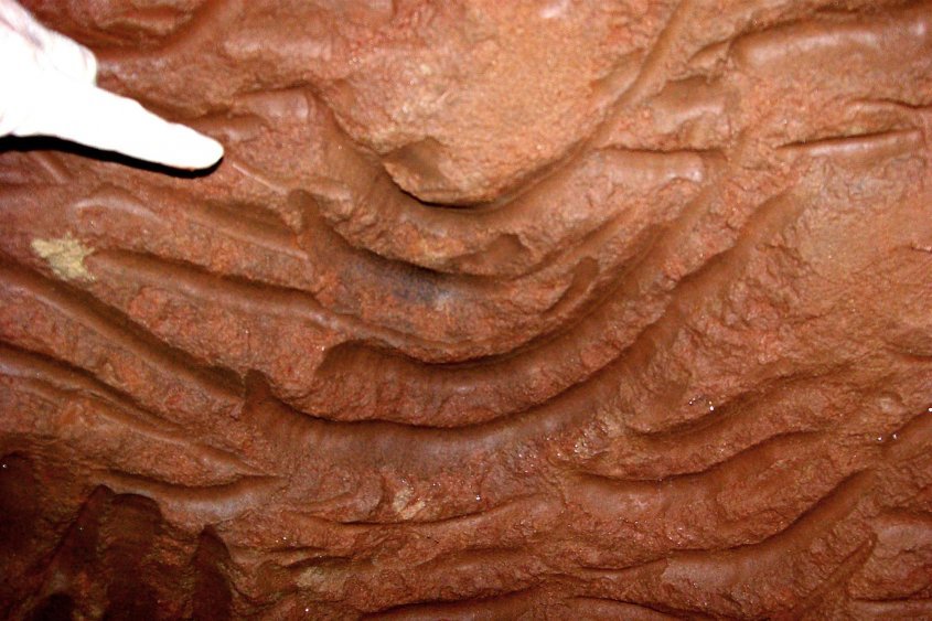 Drápy obřích lenochodů na stěnách jeskyní. Zdroj: [1]