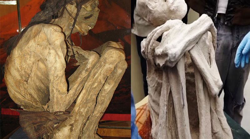 Porovnání klasické mumie z Atacamy s falešnou mumií Maussana.